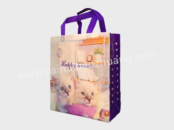 彩匯包裝 外貿(mào)無紡布手提袋  外貿(mào)手提禮品袋